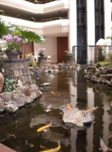 Hyatt fish pond
