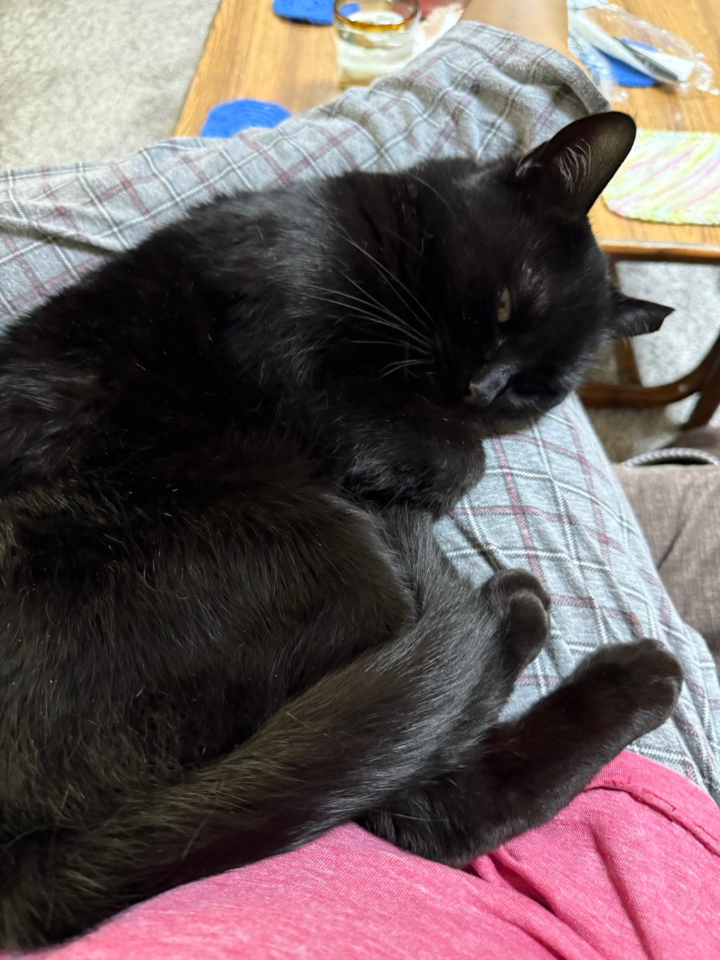 The Youngest Who Shall Remain&nbsp;Unnamed